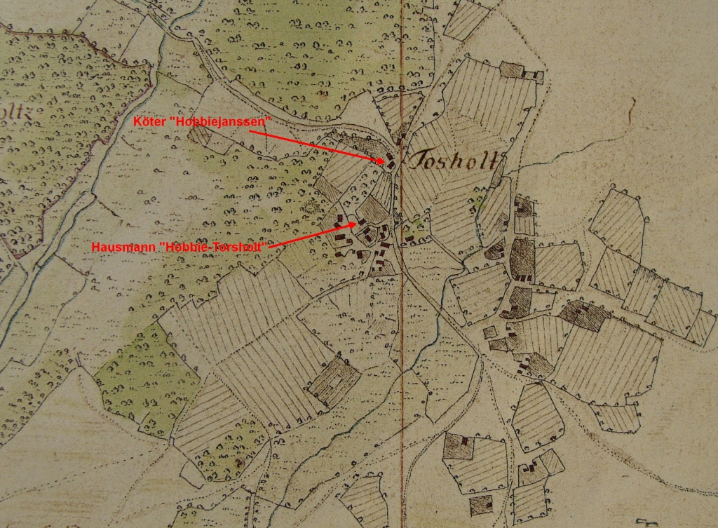 Höfe in Torsholt in Vogteikarte von 1793